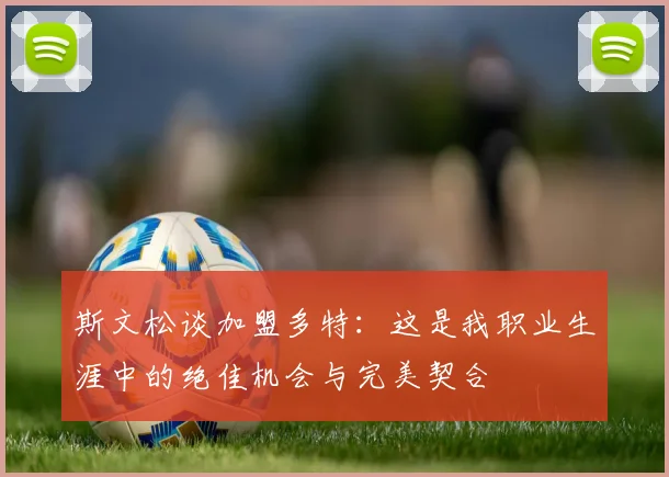 斯文松谈加盟多特：这是我职业生涯中的绝佳机会与完美契合
